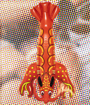 Jeff Koons - Koons