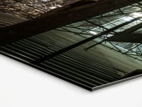 Image 5 of Different Worlds
