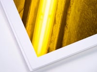 Image 4 of Interhemispheric Yellow 4