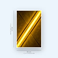 Image 3 of Interhemispheric Yellow 4