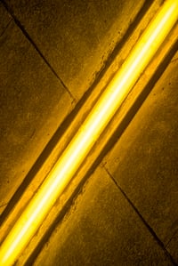 Image 2 of Interhemispheric Yellow 4