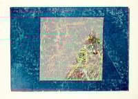 Image 2 of Wood 2192