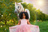 Unicorn & Equine Mini Session