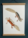 Great Crested Newts Print
