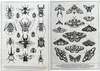 Bugs A3 Prints