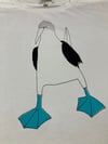Blue-Footed Booby T-Shirt