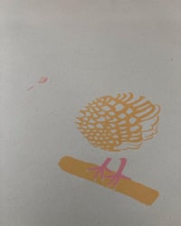Image 4 of Turtle Dove Print 
