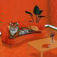 Image 2 of “Orange Tiger Room” Print
