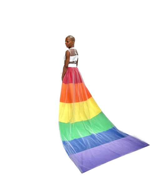 Image of Pride Dress