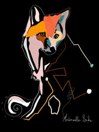 COLOR FOX