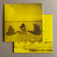 Image 2 of CODEX SERAFINI 'The Imprecation Of Anima' Vinyl LP & Insert