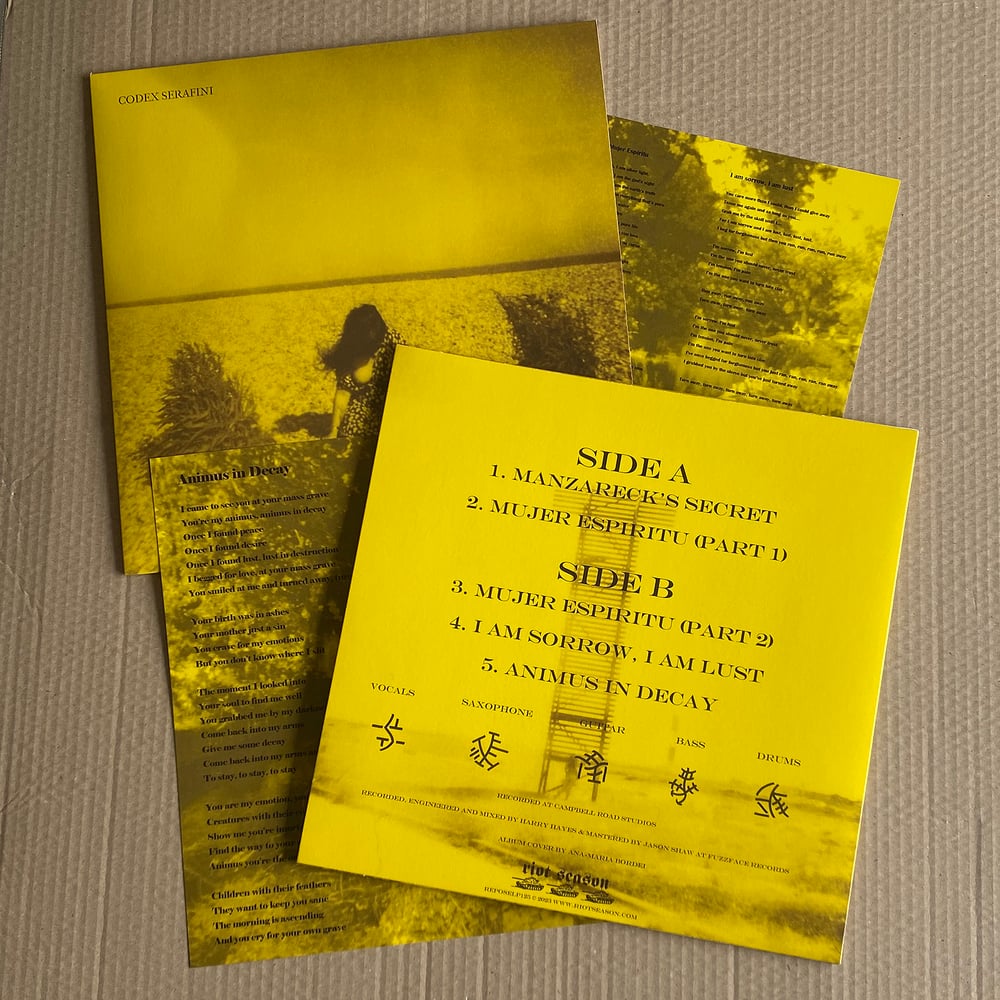 CODEX SERAFINI 'The Imprecation Of Anima' Vinyl LP & Insert