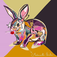 Image 1 of LAPIN DISCO