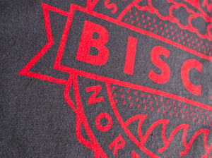 The Biscay T