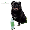 Natural Pet Shampoo by Young Living