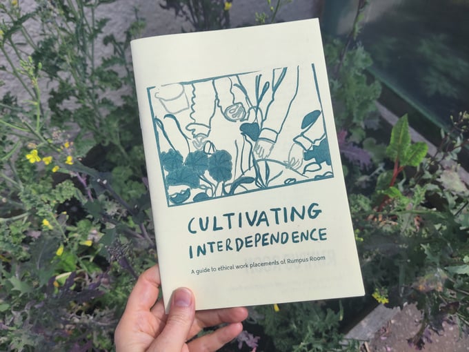 Image of Cultivating Interdependence: A guide to ethical work placements at Rumpus Room