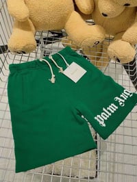 Image 1 of Wellington Shorts Green