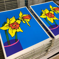 Daffodils
