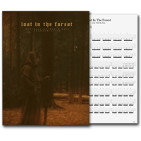 Lost In The Forest - Guitar Transcription
