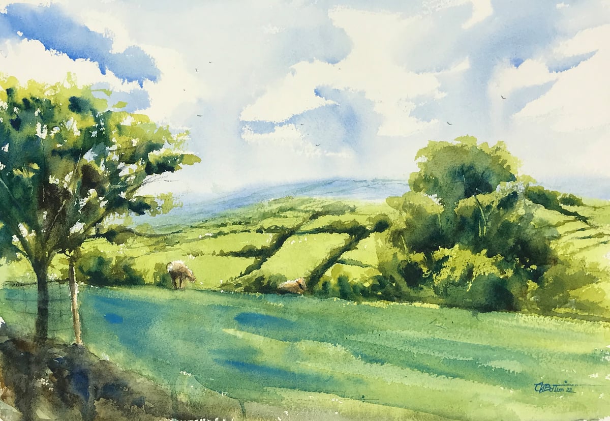 Image of Irish fields