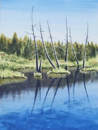 Old Mill Site