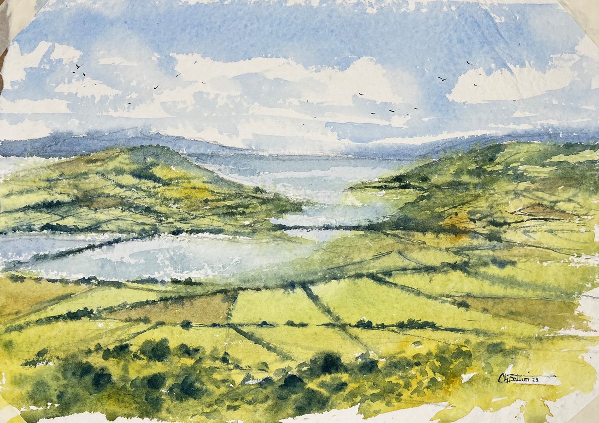 Image of Fields of Donegal 
