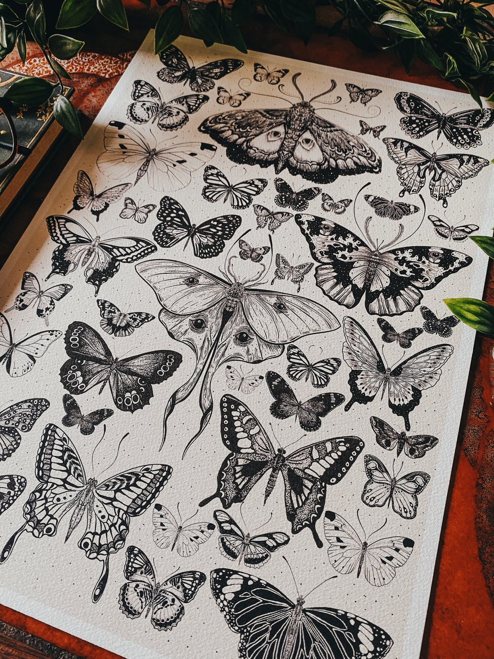 The Moth and butterfly hand drawn Vintage style print
