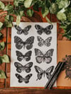 Butterfly Illustration print, botanical, dotwork print, nature inspired gifts.