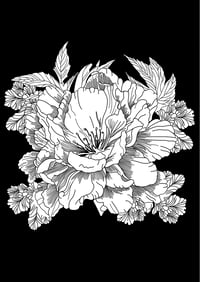 Image 1 of POSTCARD HANA