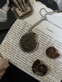 Amonite-pyrite fossile véritable enchâssé dans un cerclage en argent bas titre, vintage