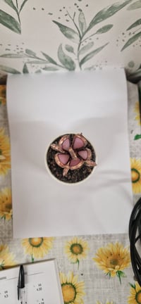 Image 3 of Stained Glass Cactus in Ceramic pot