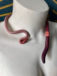 Image 3 of Standard Segmented Neck Cuff