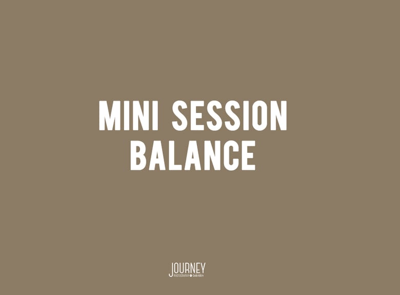 Image of 2023 Mini Session Balance