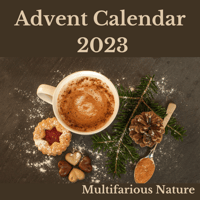 Image 1 of Christmas Advent Calendar 2023