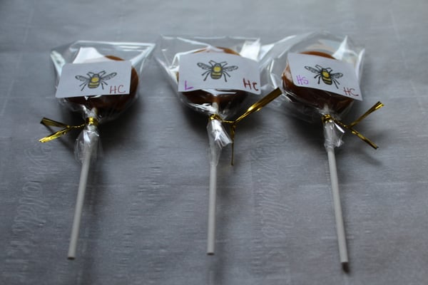 Image of All Organic Honey Lollipops with Caramel Hard Candy