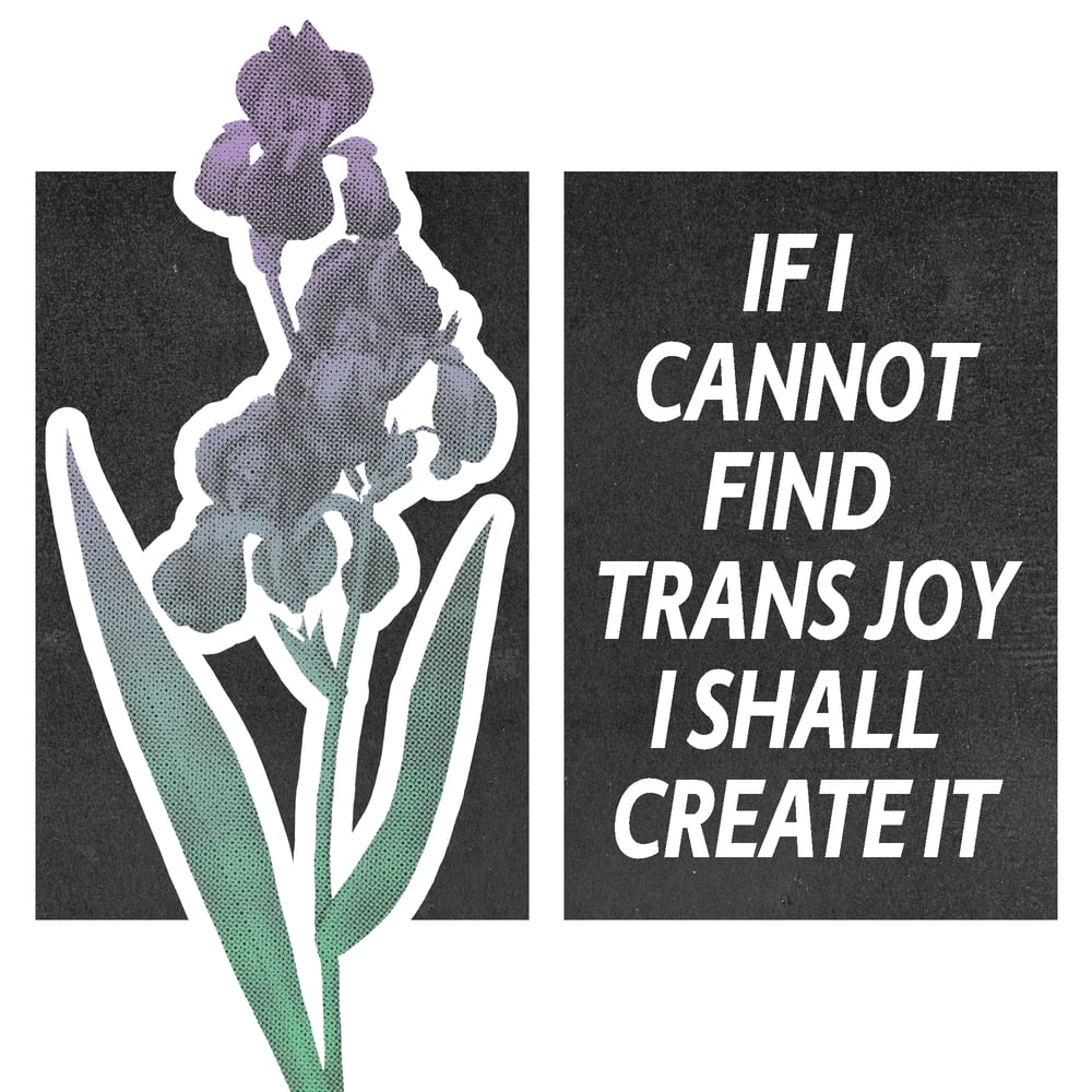 create trans joy 
