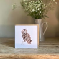 Image 4 of TAWNY OWL CARD
