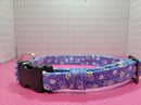 Image 4 of Sweet Daisys