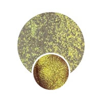 Image 1 of FOLKLORE 2.0 GRIMM Neon iridescent pressed pan neon gold yellow
