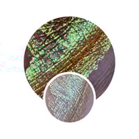 Image 1 of Lumichrome 2.0 Space Lion MultiChrome chameleon