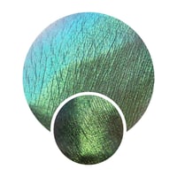 Image 1 of DRAGONLORDS Multichrome Arrex chameleon pressed pan shimmer