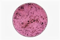 Image 3 of MULTICHROME Rosette chameleon pressed pan shimmery silver magenta purple pink