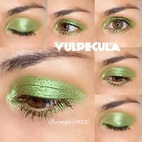 Image 3 of LIMITED EDITION MULTICHROME bundle set of 4 Green Shade Lover chameleons