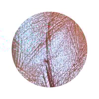 Image 3 of CONSTELLATION Collection Pyxis Multichrome chameleon