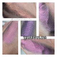 Image 5 of LIMITED EDITION MULTICHROME bundle set of 4 Violet Purple Shades Lover chameleons