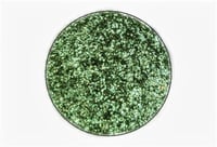 Image 4 of MULTICHROME Vulpecula chameleon pressed pan shimmery silver lime green gold
