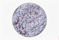 Image 4 of Night City Multichrome chameleon pressed pan plum purple Brown blue teal with icy minty