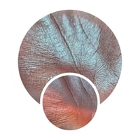 Image 1 of Multichrome 26mm Polaris chameleon pressed pan reddish burgundy silver mint color shift