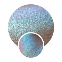 Image 1 of Folklore Collection Iridescent Duochromes Nymph shimmery green blue dupe