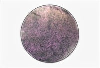 Image 4 of Folklore Collection Iridescent Duochromes Fantasia shimmery Red Pink gold